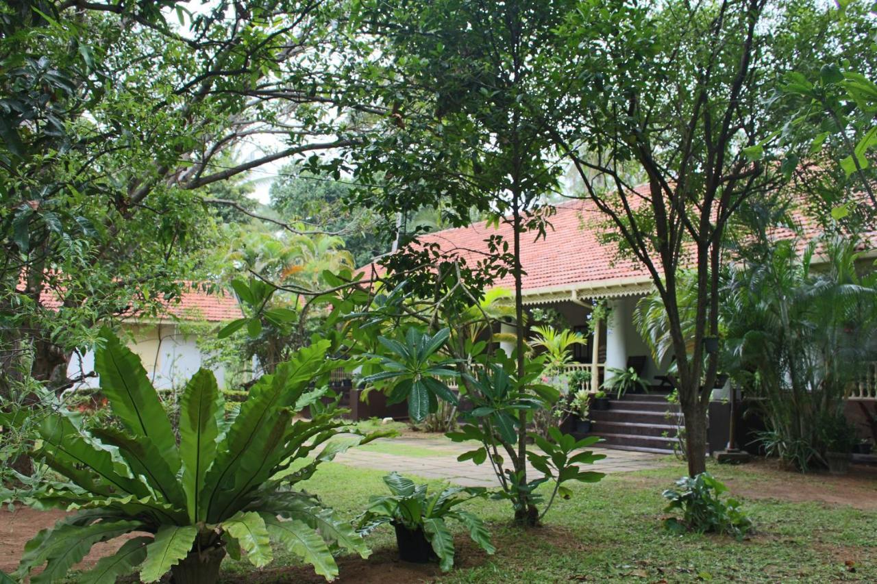 No.53 Katunayaka Exterior foto